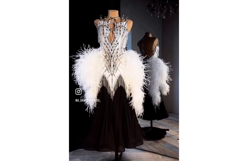 How to Choose Ballroom Competition Dresses How to Choose Ballroom Competition Dresses