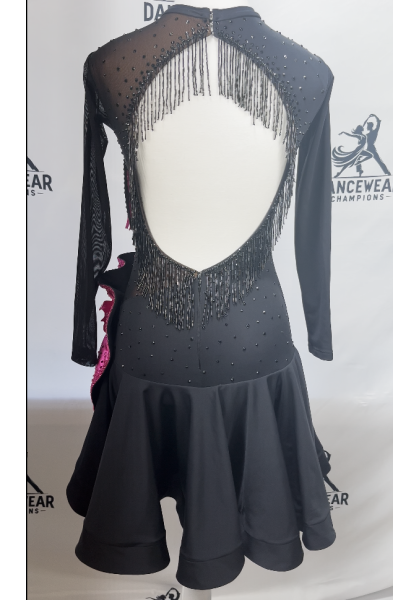 Performance Latin Dress 14