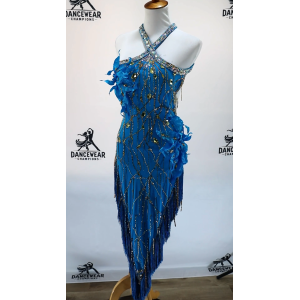 Performance Latin Dr..