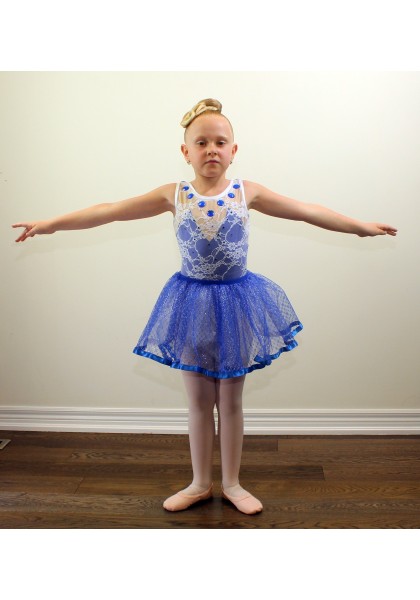 Ballet Girls Costume Dress 14- DanceWearChanpions Ballet Girls Costume Dress 14